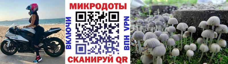 Псилоцибиновые грибы GOLDEN TEACHER  закладки  Печора 