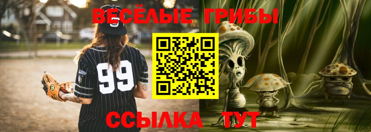купить наркотик  Псилоцибиновые грибы Cubensis  Вход с VPN  Печора 